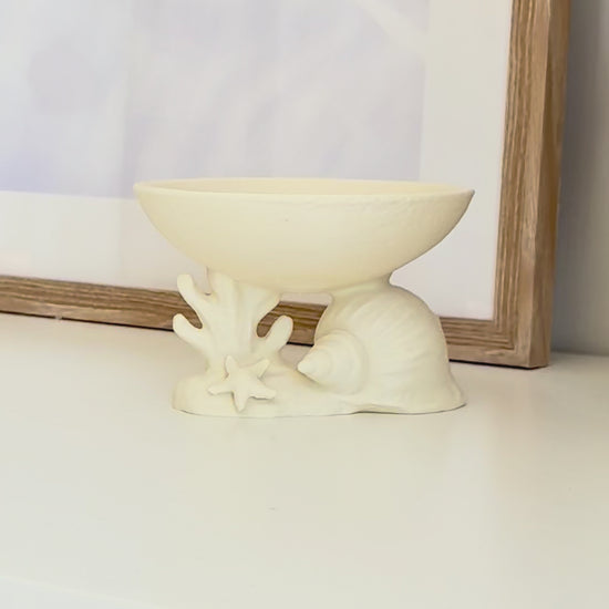 Seashell bowl 3d printed video placing jewellery