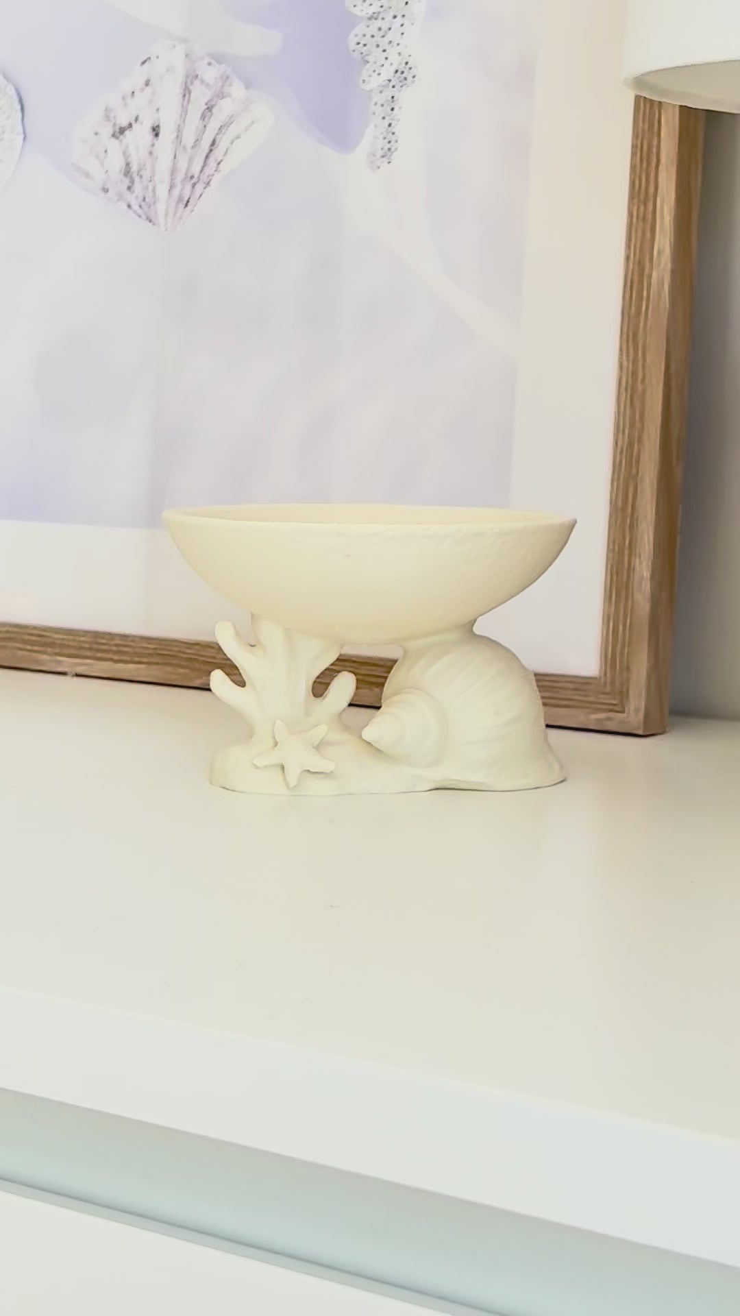 Seashell bowl 3d printed video placing jewellery